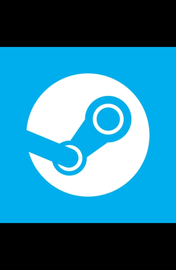 Steam
